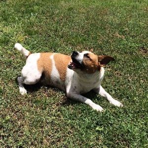 Meet your Posher, Sean